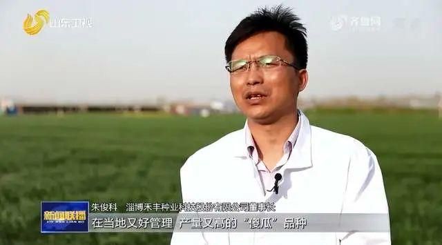 淄博 以种业科技创新牵引农业高质量发展